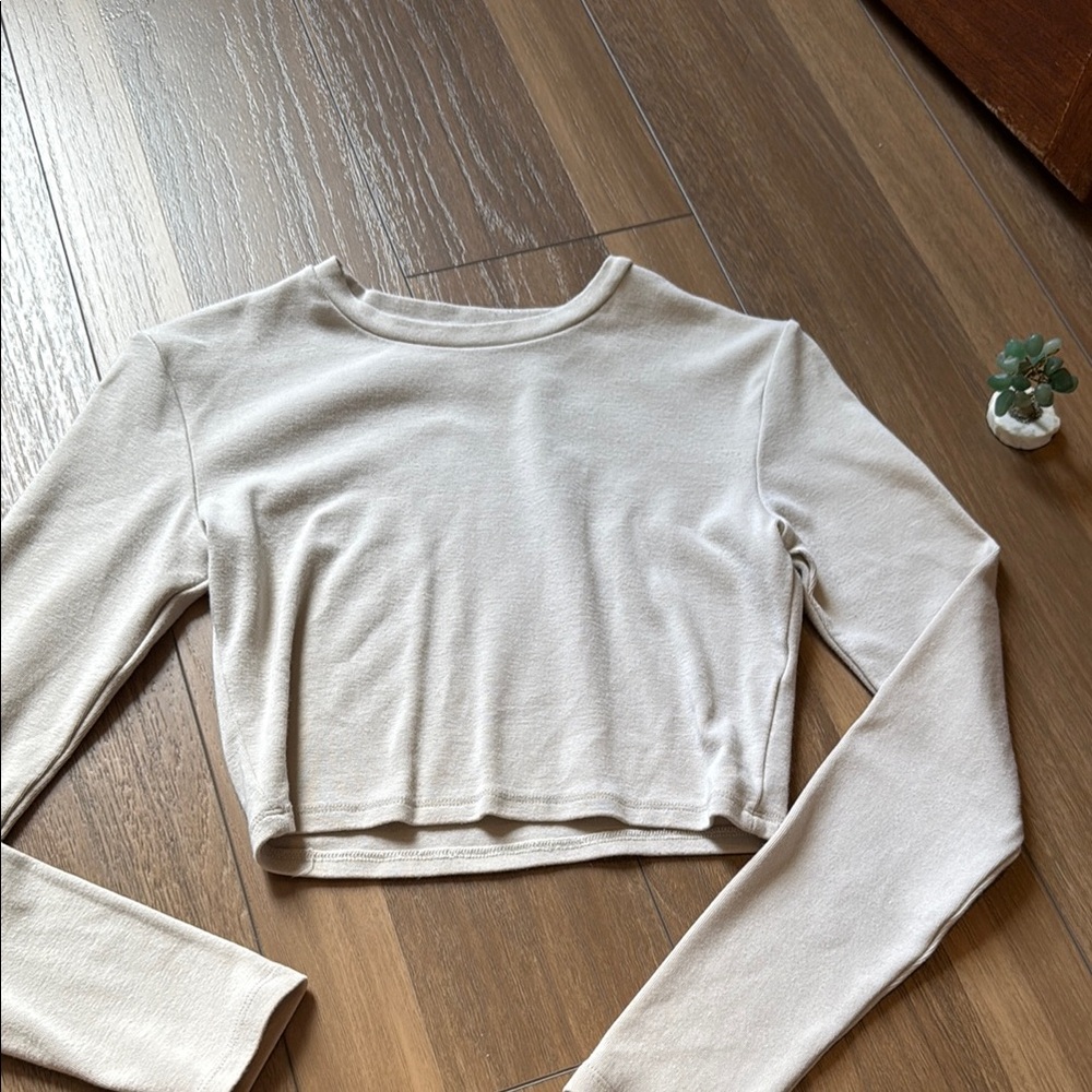 Zara Tan and White Crop T-Shirt Fitted Style